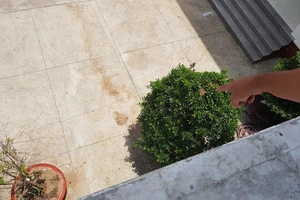 1 nghi phạm nhảy lầu ở trụ sở công an tử vong