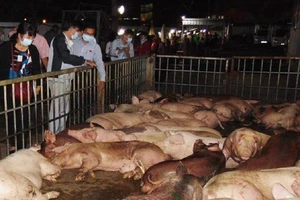 Ảnh minh họa trên Internet