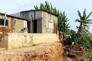An Giang di dời khẩn cấp nhiều căn nhà do sạt lở bờ sông