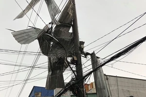 Sét đánh chết người chăn vịt ngoài đồng ở An Giang 