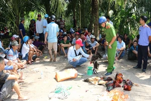 Công an xóa sới gà tổ chức tinh vi