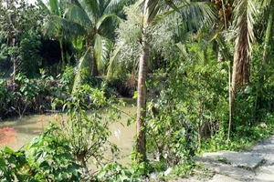 Nơi xảy ra vụ việc