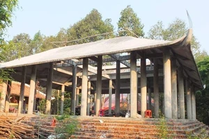 Một phó giám đốc Sở ở Đồng Tháp bị khởi tố