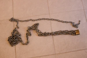 Em trói anh vào gốc xoài dẫn đến tử vong