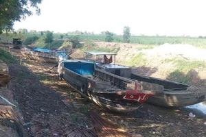 Hạn hán ở Vĩnh Thuận (Kiên Giang) năm 2016