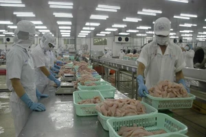 Chế biến cá tra thương phẩm