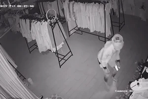 Đục trần nhà vào trộm tiền, vặt luôn 3 camera an ninh