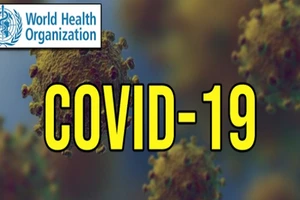 Ảnh trên Internet