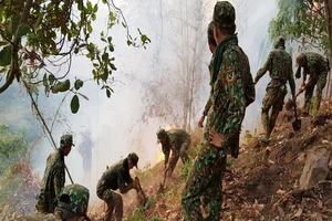 Cháy rừng dữ dội ở Núi Cấm 