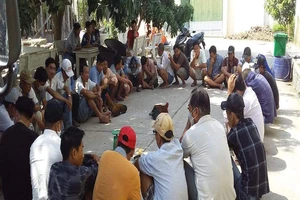 An Giang: Mật phục bắt 32 đối tượng đá gà ăn tiền