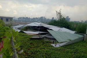 Bị phạt 9 tháng tù vì phá hủy nhà kho bỏ trống