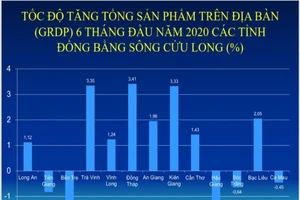 Ảnh: Cổng TTĐT tỉnh Đồng Tháp