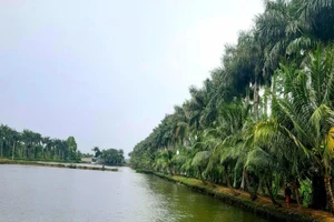 Ảnh minh họa ao nuôi cá. Ảnh: HD