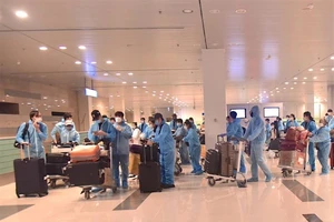 309 công dân Việt Nam từ Singapore nhập cảnh ở sân bay Cần Thơ