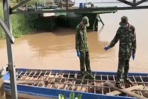 Bắt 6 tấn heo từ Campuchia nhập lậu vào Việt Nam