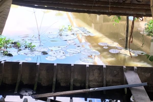 Trà Vinh: Thi thể 2 học sinh lớp 2 đuối nước thương tâm