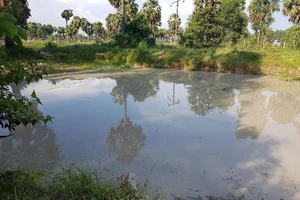 Thương tâm: 5 trẻ đuối nước tử vong 