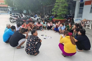 An Giang: Triệt phá ổ bạc 'quý bà' trong vườn xoài