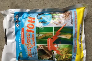 Phát hiện hơn 4,6 tấn thuốc trị côn trùng không rõ nguồn gốc