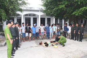 Trà Vinh: Vây bắt hàng chục người chơi đá gà giữa đồng