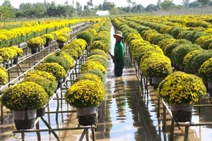 Sắp diễn ra Tuần lễ Văn hóa Du lịch Đồng Tháp năm 2021