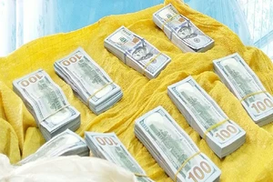 An Giang: Mật phục phá vụ vận chuyển USD qua biên giới
