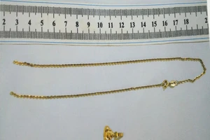 Tang vật vụ án. Ảnh: CACC