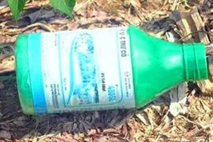 Ảnh minh họa thuốc sâu