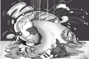 Ảnh minh họa. Ảnh: PLO