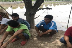 An Giang: Triệt xóa sới bạc hàng chục người ở giữa đồng