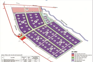 Quy hoạch phân khu tỷ lệ 1/2000 Khu công nghiệp Đông Bình. Ảnh: BQL các KCN Vĩnh Long
