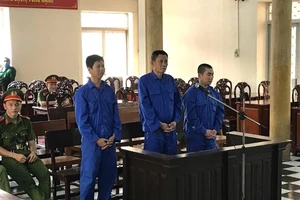 Phạt tù các bị cáo tổ chức đưa người qua biên giới trái phép 