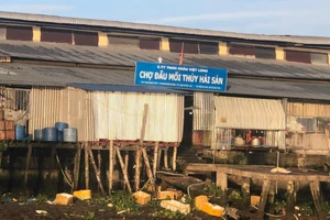 An Giang: Chợ đầu mối xả thải trực tiếp ra sông Hậu