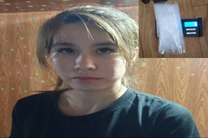 'Mẹ bỉm sữa' buôn ma túy, tàng trữ súng