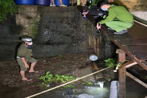 An Giang: Từng bị phạt nhưng chợ đầu mối thuỷ hải sản vẫn xả thải ra sông Hậu