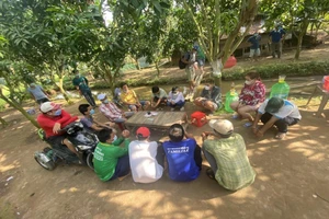 An Giang bắt quả tang 13 người trốn trong vườn xoài chơi tài xỉu