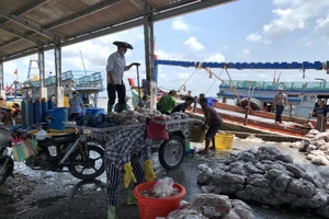 An Giang phát hiện 31 công nhân khuân vác cá nhiễm COVID-19