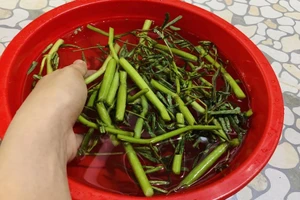 Hộ nghèo và hộ cận nghèo ở An Giang được miễn tiền nước sinh hoạt