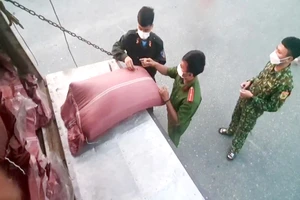 2 xe tải chở 42 tấn cà phê không rõ nguồn gốc