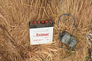 Bộ bình điện gây chết người