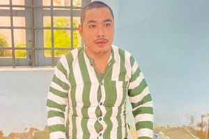 Mâu thuẫn tiền bạc, nữ Việt kiều thuê người đánh chủ quán cà phê