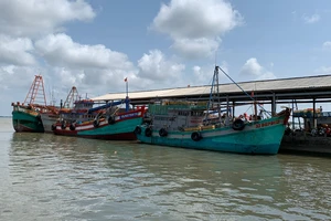 Cảng cá Trần Đề (Sóc Trăng). Ảnh: HD