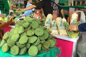 Tháo gỡ điểm nghẽn, nâng cao giá trị sen Đồng Tháp