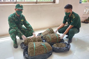 2 người ôm bao cần sa khô qua biên giới An Giang