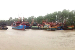 Trà Vinh lên kế hoạch phòng chống siêu bão Noru