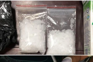 Cần Thơ: Triệt phá 850 vụ án ma túy, thu giữ 12,897 kg ma túy tổng hợp