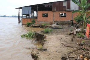 Đồng Tháp cần 120 tỉ đồng để di dân vùng thiên tai