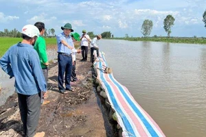 Đồng Tháp: Chủ động gia cố đê bao trước tình hình mưa lũ và triều cường