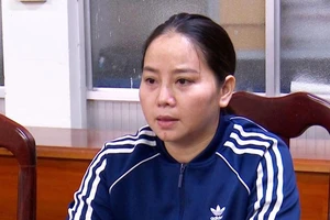 Khai báo nhập 20.000 thùng nước giải khát nhưng nhập gấp đôi, nữ giám đốc bị khởi tố