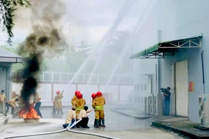 Cần Thơ không còn tụ điểm ma túy phức tạp